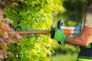 Gartenarbeiten im Herbst